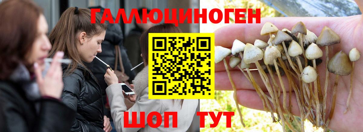 Лянтор  Галлюциногенные грибы GOLDEN TEACHER  Вход с VPN  Галлюциногенные грибы Cubensis 
